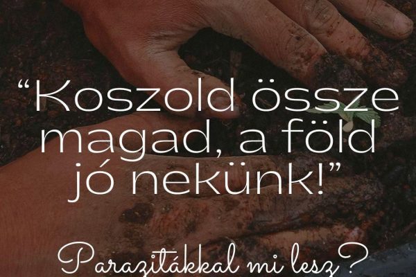 “Koszold össze magad, a föld jó nekünk!”