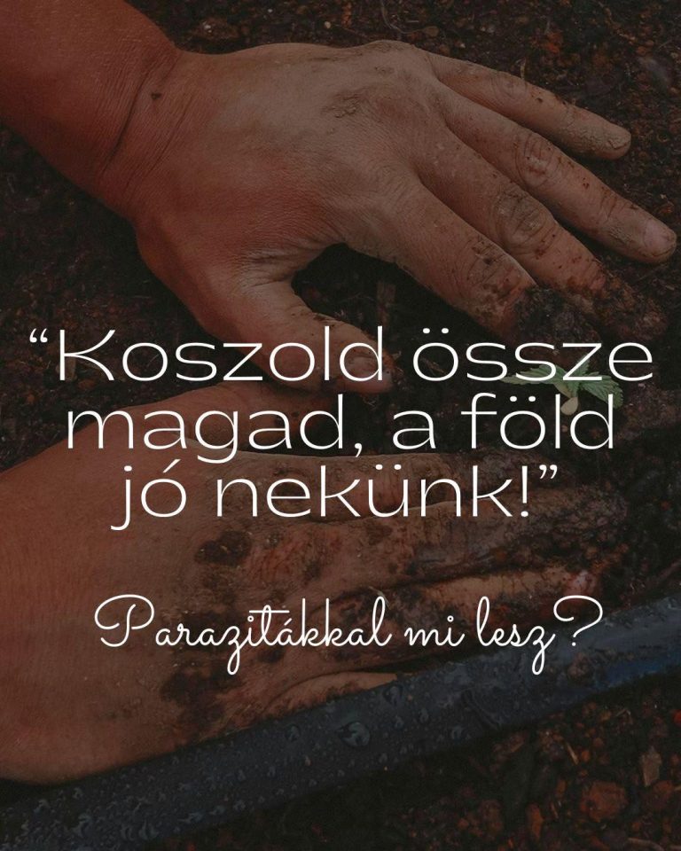 “Koszold össze magad, a föld jó nekünk!”