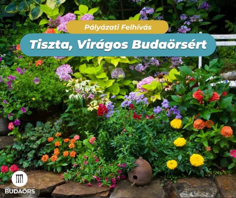 Tiszta, virágos Budaörsért pályázat
