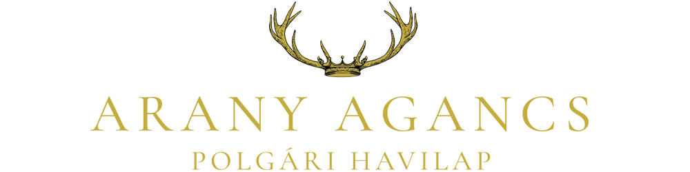 ARANY AGANCS