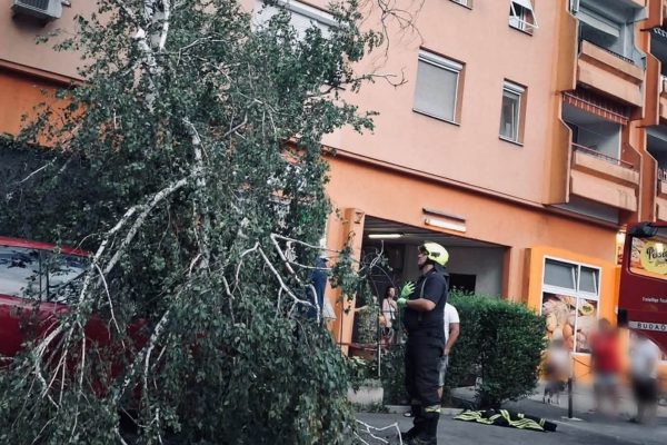 Viharkárok és tűzeset – három önálló beavatkozás 9 órán belül