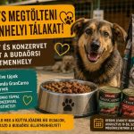 Segíts megtölteni a menhelyi tálakat! Tápot és konzervet gyűjt a Budaörsi Állatmenhely
