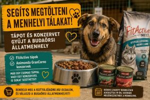 Segíts megtölteni a menhelyi tálakat! Tápot és konzervet gyűjt a Budaörsi Állatmenhely