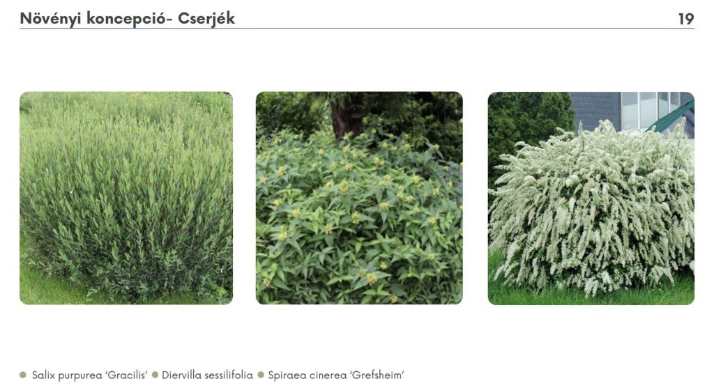Bepillantás az Esőkert kiviteli tervébe