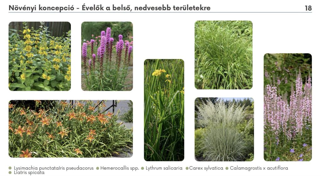 Bepillantás az Esőkert kiviteli tervébe